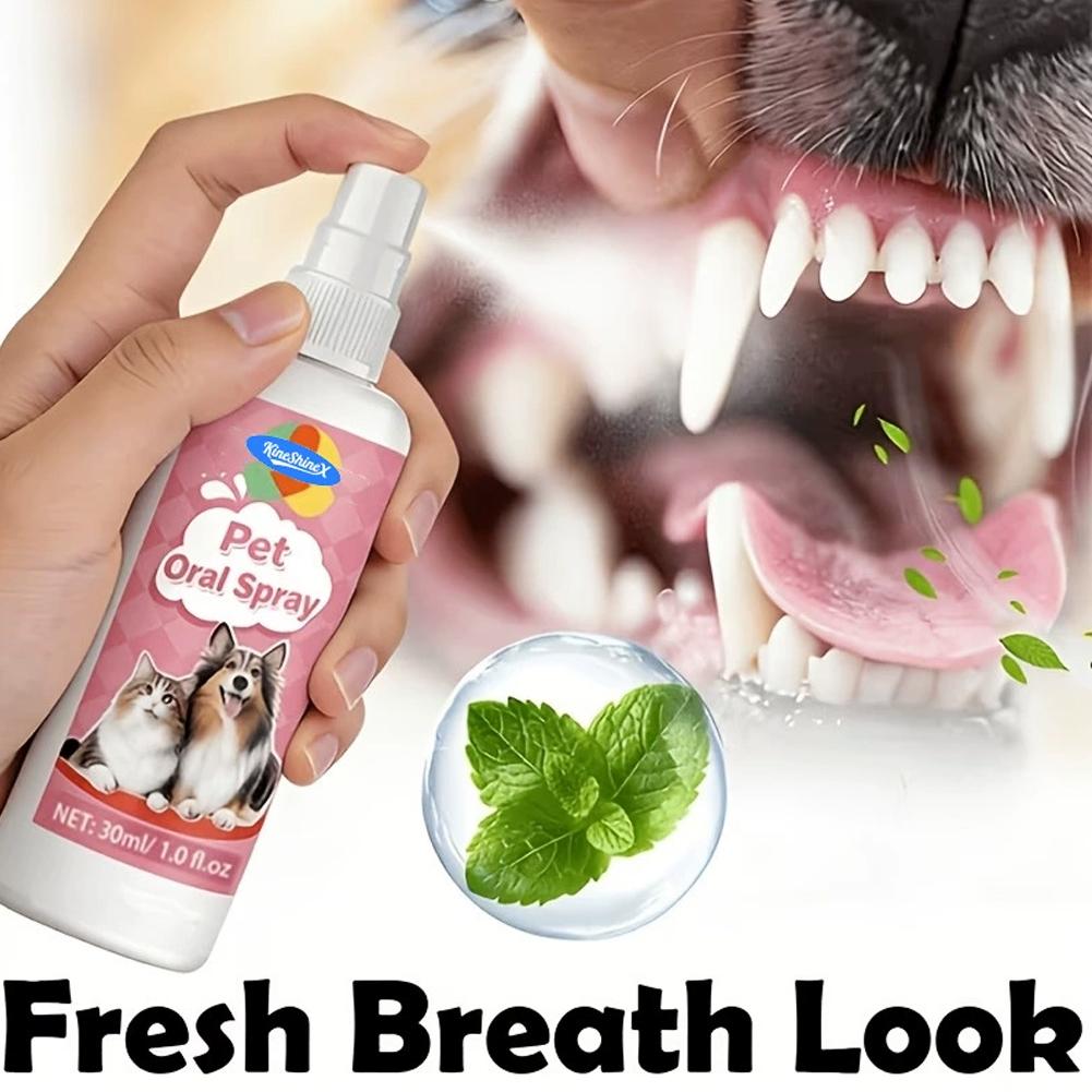 بخاخ فموي للكلاب والقطط، مزيل  - مراجعة Teeth Whitening Mouthwash وسعره
