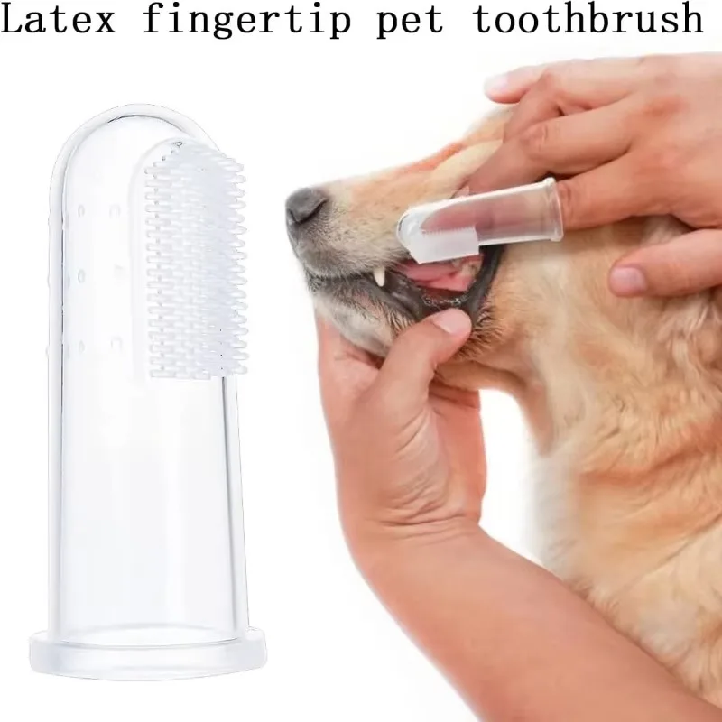 سوبر لينة الحيوانات الأليفة فن - مراجعة Teeth Whitening Mouthwash وسعره