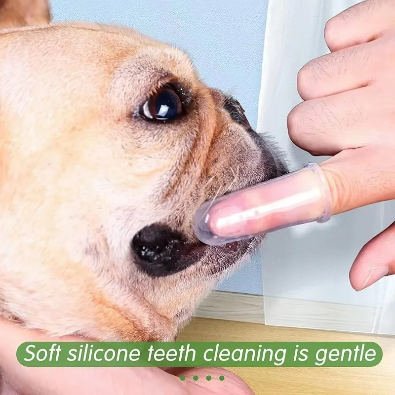 سوبر لينة الحيوانات الأليفة فن - مراجعة Teeth Whitening Mouthwash وسعره
