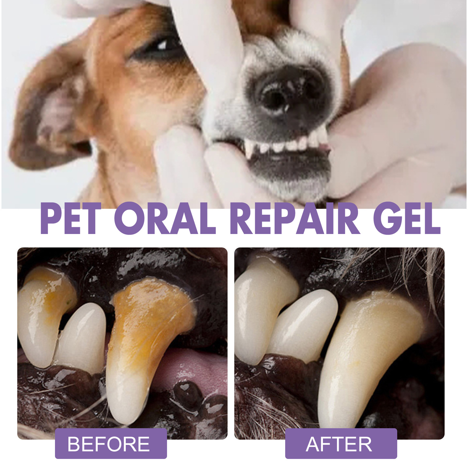 الحيوانات الأليفة الفم إصلاح ه - مراجعة Teeth Whitening Mouthwash وسعره